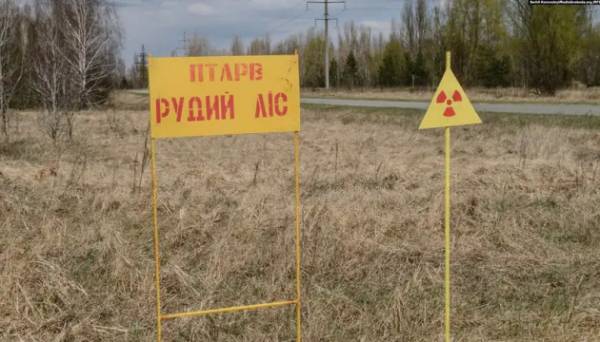Російські військові, які окопувалися в Рудому лісі у Чорнобильській зоні, не вижили