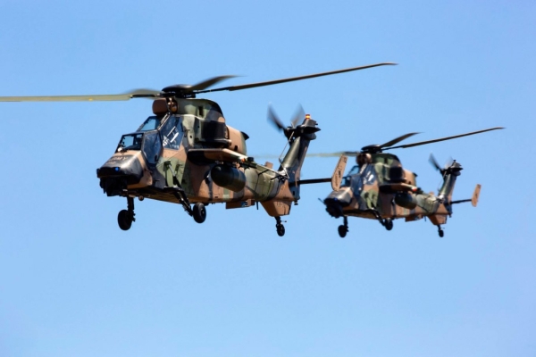 Tiger Австралія