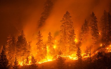 Масштабні лісові пожежі накрили Лос-Анджелес — фото та відео