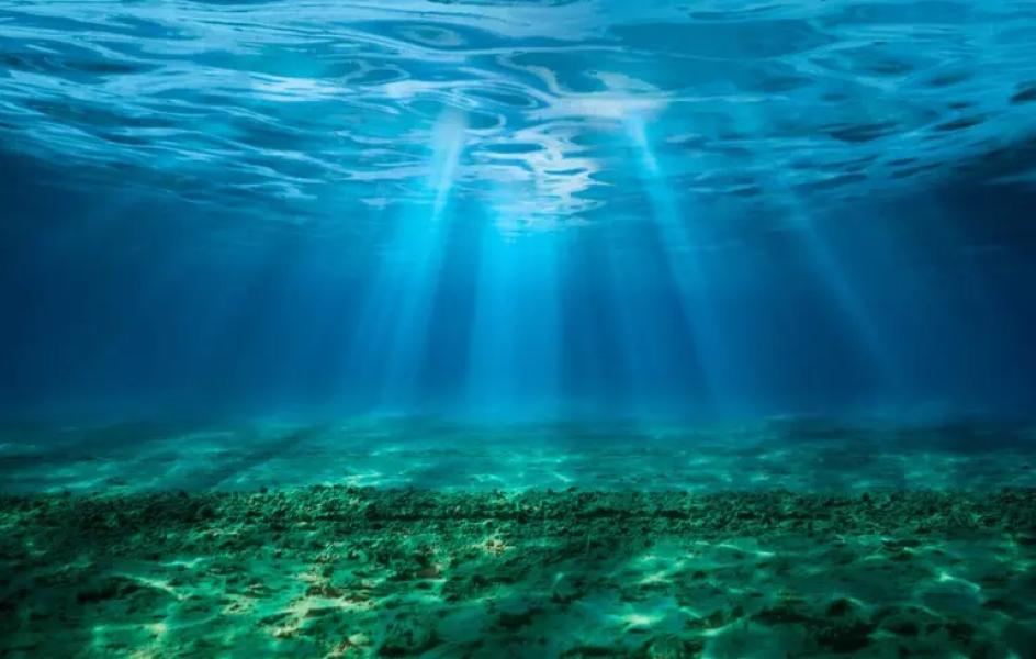 Океану бракує світла: вчені пояснили, як це вплине на морських мешканців