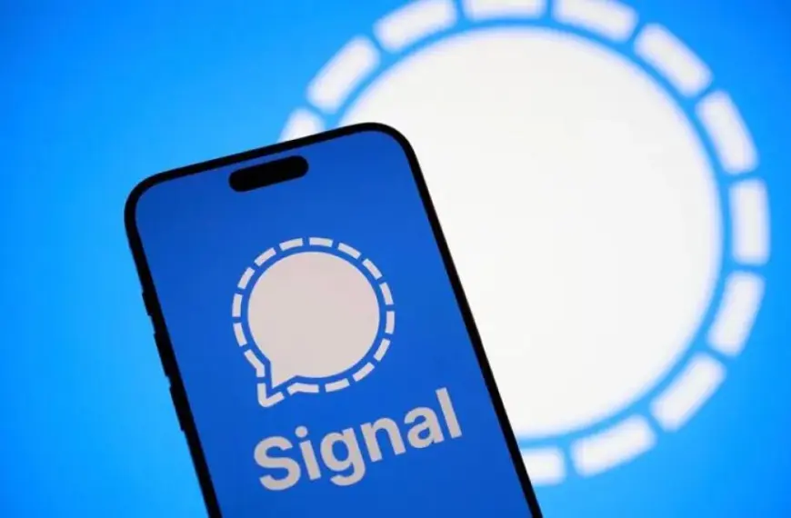 Signal закриває свої чати від штучного інтелекту Windows 11