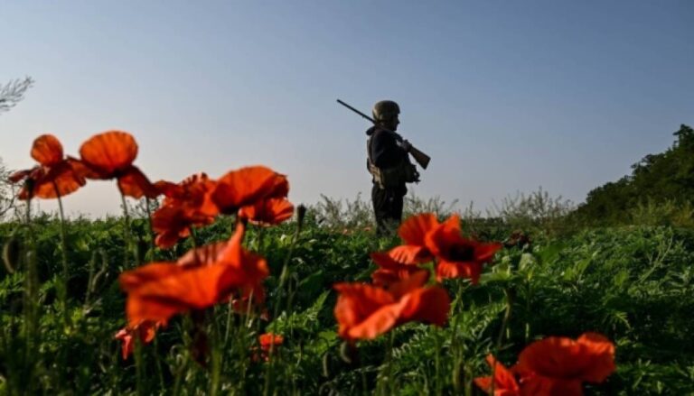 За добу на фронті відбулося 186 зіткнень між Силами оборони та російськими військами