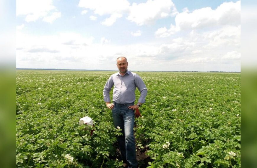 Чому ціни на молоду українську картоплю вдвічі вищі, ніж на імпортовану з Єгипту: пояснення експерта