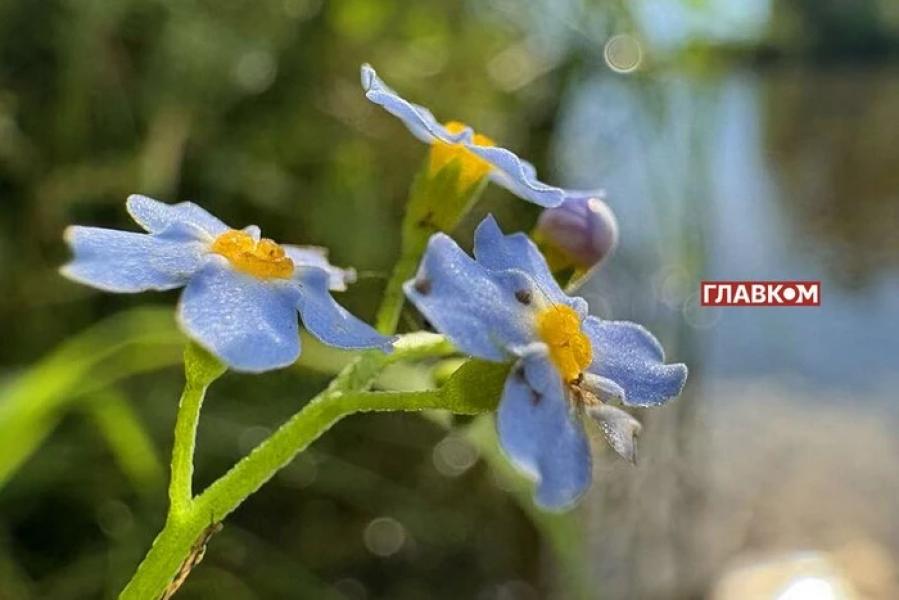 В Україні хмарно з проясненнями: погода на 26  липня