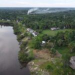 Мікроби, які можуть впливати на клімат – вчені знайшли в…