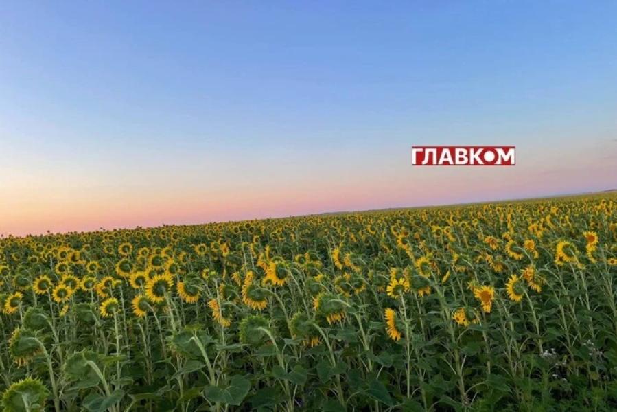 В Україні очікується спека, але в деяких регіонах пройдуть дощі: погода на 6 серпня