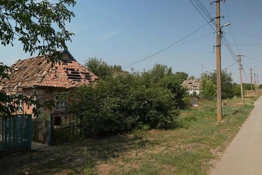 У одному із сіл Запорізької області жінку покусав шакал 