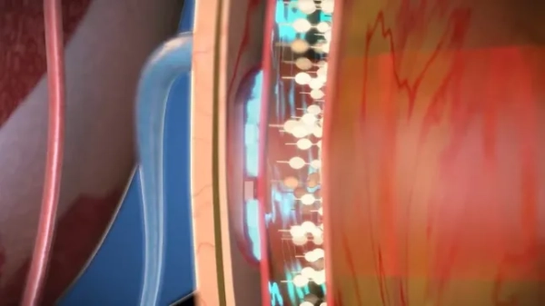 Конкурент Ілона Маска створює революційний очний чіп, який вперше у світі відновлює зір