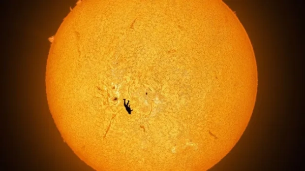 ПРИГОЛОМШЛИВЕ зображення парашутиста, який, здавалося, вільно падає з Сонця, стало сенсацією серед любителів фотографії та космосу. Ендрю Маккарті сказав, що для того, щоб зафіксувати «Падіння Ікара», назване на честь грецького міфу, йому знадобилося «величезне планування та технічна точність». Йому довелося вирівняти кут Сонця з безпечною висотою вильоту для друга Габріеля Брауна, який стрибнув з парамотора на висоті 3500 футів. Щоб отримати свій «абсурдний, але реальний» знімок — на якому у фокусі була і поверхня Сонця, і пан Браун — американський фотограф розташував свою камеру на землі за дві милі від нього. «Мені дуже подобається контраст маленької людини на тлі нашої величезної, динамічної зірки», — сказав пан Маккарті, коли його результат став вірусним у соціальних мережах.