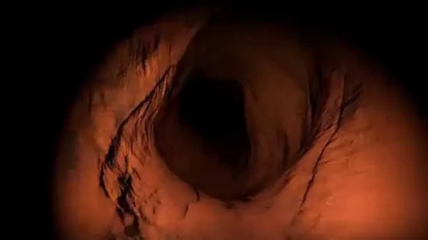 Печерна жага