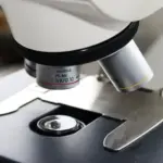 У Гонконгу з початку року зросла кількість хворих на лихоманку…