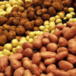 В Україні ціна картоплі знижується: чому вартість впала на 58%…