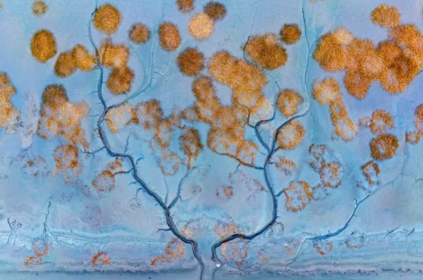 Премія за фотозйомку з дрона 2025 року