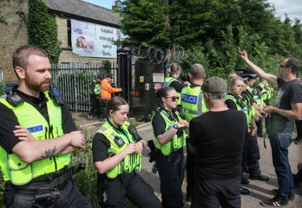 Обов&#39;язкове джерело: Фото Мартіна Поупа/SOPA Images/Shutterstock (14530763ae) Протестувальник показує образливий жест рукою в бік робітників перед поліцейськими, поки охоронці відчиняють ворота, намагаючись випустити робітників з фабрики під час демонстрації. Протестувальники заблокували єдині вхідні ворота, щоб не допустити виходу робітників, намагаючись зірвати роботу. Вони вимагають, щоб американська компанія Marshal BioResources (MBR) Acres, ферма з вирощування біглів, яка постачає цуценят для лабораторій з тестування на тваринах, закрилася. Майже три роки тому протестувальники створили «Табір Бігль» – протестний табір, щоб чинити тиск на MBR – прямо біля ферми з вирощування цуценят. Протестувальники також вимагали від уряду припинити тестування на тваринах у лабораторіях. Протестувальники за права тварин блокують MBR Acres у Гантінгдоні, Велика Британія – 8 червня 2024 року.