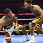 Небитий забіяка українського бійця здобув титул чемпіона світу у трьох…