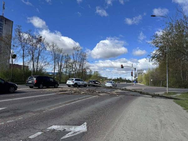 Стихійне лихо, град та пилова буря: негода в Україні валить дерева та зриває покрівлі будівель, є жертви 31