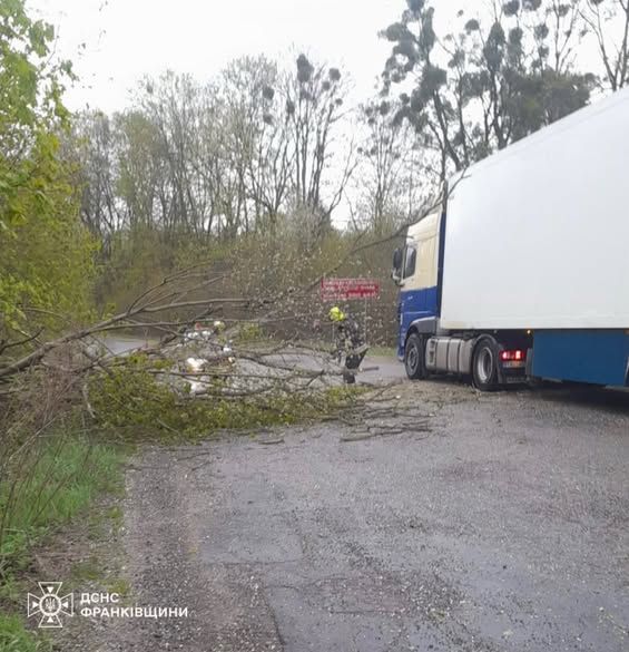 Стихійне лихо, град та пилова буря: негода в Україні валить дерева та зриває покрівлі будівель, є жертви 33