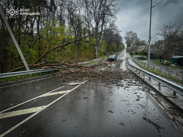 Стихійне лихо, град та пилова буря: негода в Україні валить дерева та зриває покрівлі будівель, є жертви 44