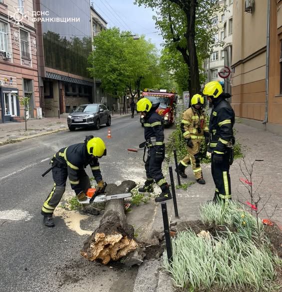Стихійне лихо, град та пилова буря: негода в Україні валить дерева та зриває покрівлі будівель, є жертви 36