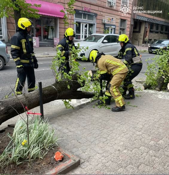 Стихійне лихо, град та пилова буря: негода в Україні валить дерева та зриває покрівлі будівель, є жертви 34