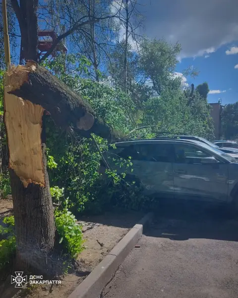 Стихійне лихо, град та пилова буря: негода в Україні валить дерева та зриває покрівлі будівель, є жертви 52