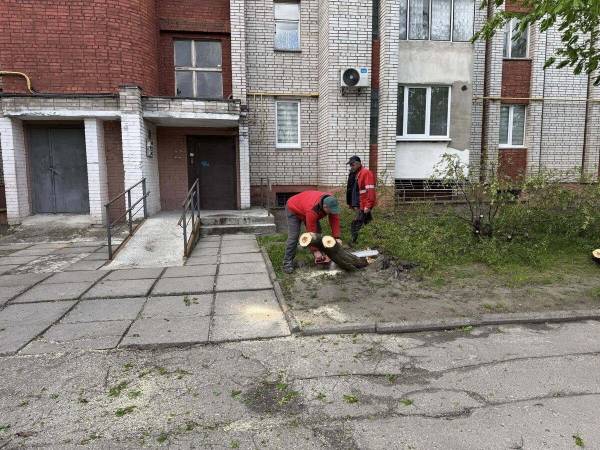 Стихійне лихо, град та пилова буря: негода в Україні валить дерева та зриває покрівлі будівель, є жертви 32