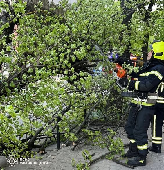 Стихійне лихо, град та пилова буря: негода в Україні валить дерева та зриває покрівлі будівель, є жертви 35