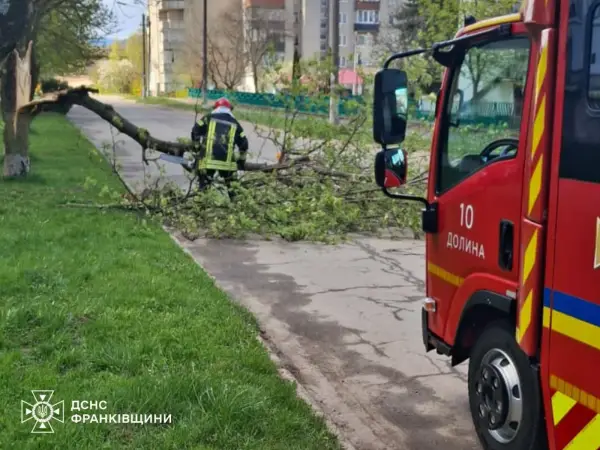 Стихійне лихо, град та пилова буря: негода в Україні валить дерева та зриває покрівлі будівель, є жертви 45