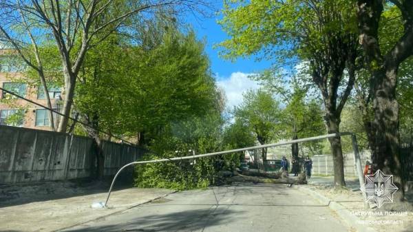 Стихійне лихо, град та пилова буря: негода в Україні валить дерева та зриває покрівлі будівель, є жертви 30