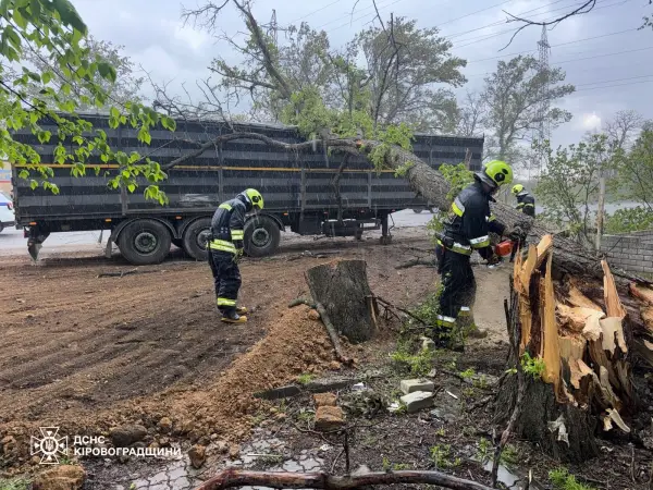 Стихійне лихо, град та пилова буря: негода в Україні валить дерева та зриває покрівлі будівель, є жертви 48
