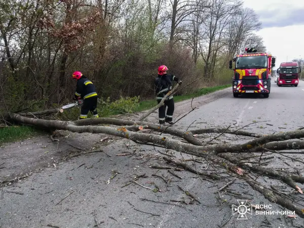 Стихійне лихо, град та пилова буря: негода в Україні валить дерева та зриває покрівлі будівель, є жертви 47