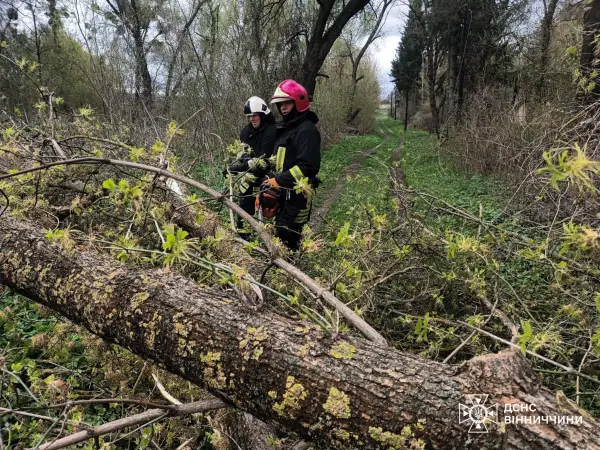 Стихійне лихо, град та пилова буря: негода в Україні валить дерева та зриває покрівлі будівель, є жертви 51