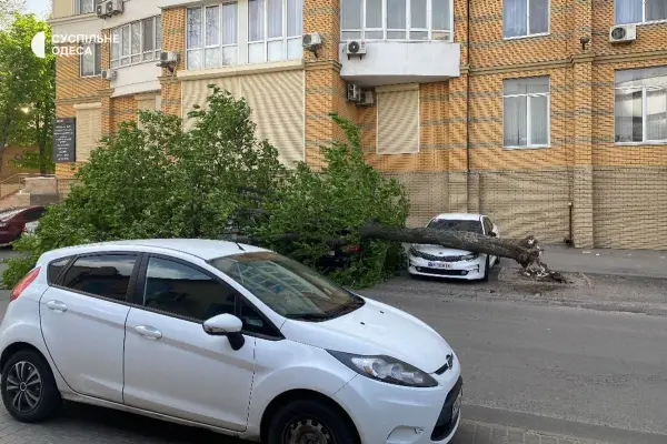 Стихійне лихо, град та пилова буря: негода в Україні валить дерева та зриває покрівлі будівель, є жертви 42