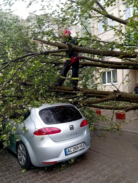 Стихійне лихо, град та пилова буря: негода в Україні валить дерева та зриває покрівлі будівель, є жертви 38