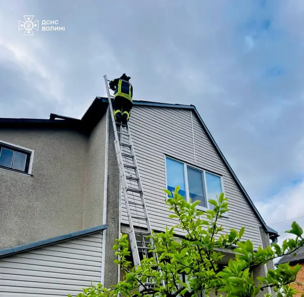 Стихійне лихо, град та пилова буря: негода в Україні валить дерева та зриває покрівлі будівель, є жертви 39