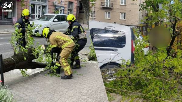 Стихійне лихо, град та пилова буря: негода в Україні валить дерева та зриває покрівлі будівель, є жертви 27