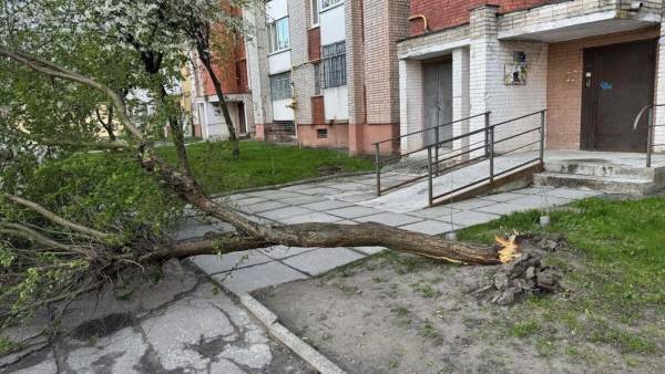 Стихійне лихо, град та пилова буря: негода в Україні валить дерева та зриває покрівлі будівель, є жертви 29