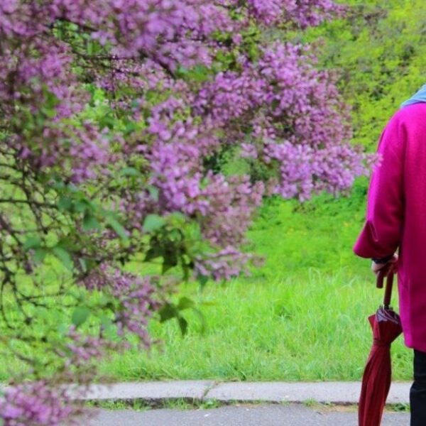 ПОРТАЛ новин 93 Україну з новою силою охопить негода: прогнозисти попередили про найскладнішу ситуацію в певних регіонах