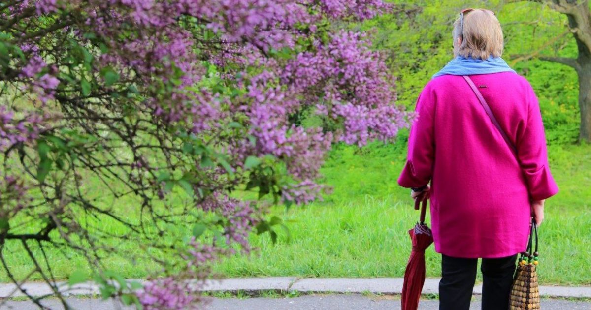 Spring weather Spring weather