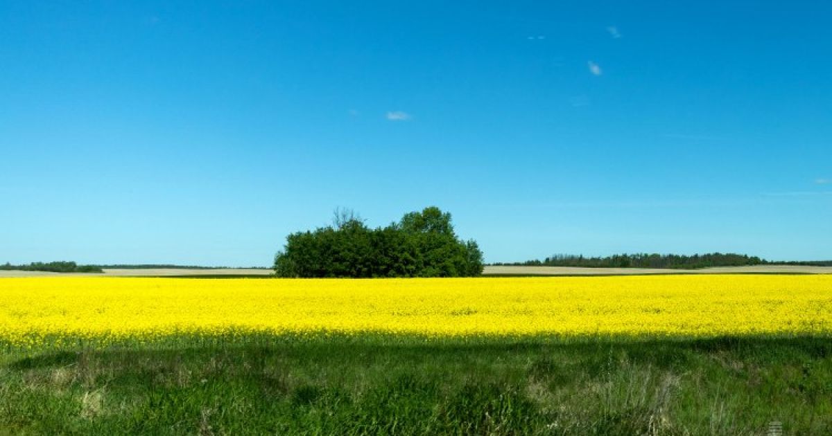 Україну охоплює хвиля спеки з Африки Україну охоплює хвиля спеки з Африки