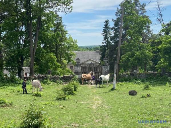 «Фіолетова ніч» у Маліївцях 33 «Фіолетова ніч» у Маліївцях 33