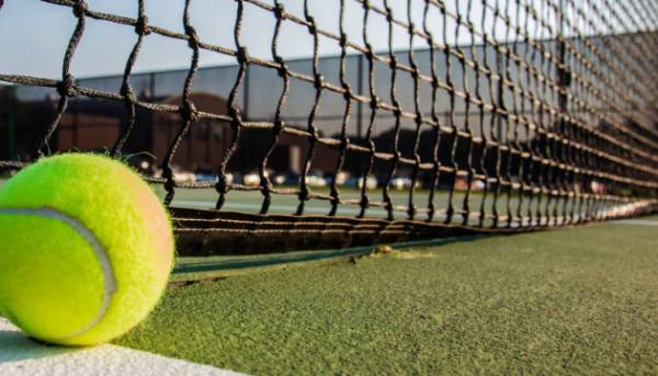 Рейтинг WTA. Світоліна та Костюк залишилися на попередніх місцях перед початком Вімблдону