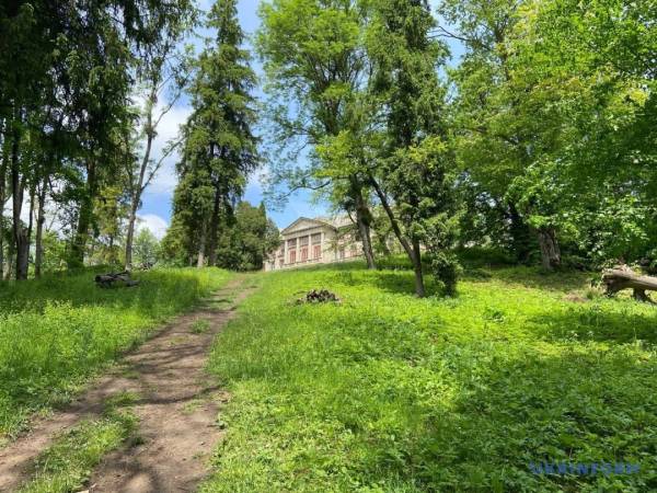 «Фіолетова ніч» у Маліївцях 36 «Фіолетова ніч» у Маліївцях 36