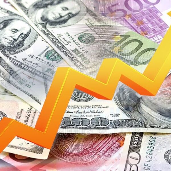 Вартість валют 31 липня: ціни на долар, євро та злотий