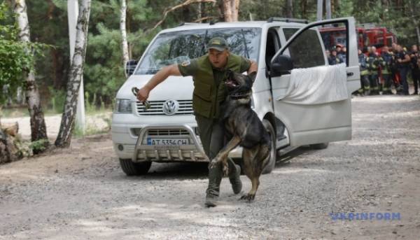 Правоохоронні органи провели спільні тренування на Київщині