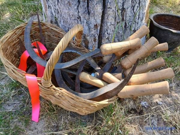 «Зажинки»: перші зібрані збіжжя відклали для різдвяного дідуха 19 «Зажинки»: перші зібрані збіжжя відклали для різдвяного дідуха 19