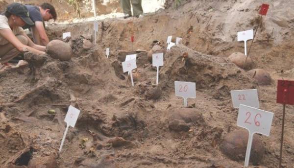 На Волині завершено розкопки у Волі Островецькій – знайдено тіла 48 осіб.