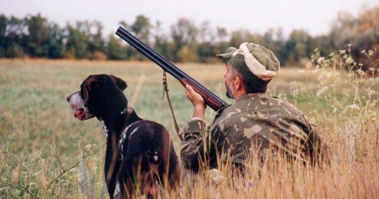 У Верховній Раді пропонують легалізувати полювання під час "періоду тиші": захисники тварин б'ють на сполох. 9 У Верховній Раді пропонують легалізувати полювання під час "періоду тиші": захисники тварин б'ють на сполох. 8