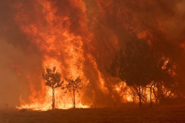 Іспанія переживає найбільшу лісову пожежу в історії / © Associated Press