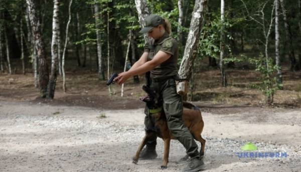 Правоохоронні органи провели спільні тренування на Київщині 15